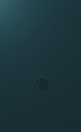 Best Friends Forever