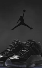 Air Jordan 11