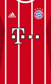 Bayern Kit 17-18