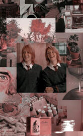 Gemelos Weasley
