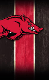 Arkansas Razorbacks