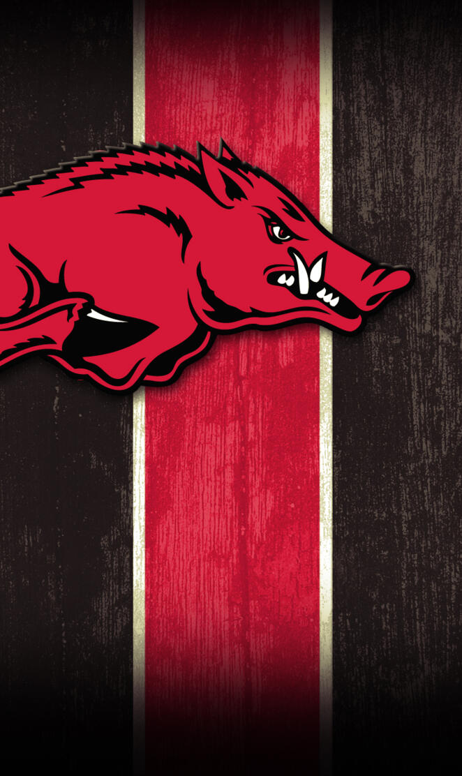 Arkansas Razorbacks