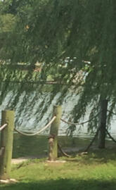 University Boardwalk