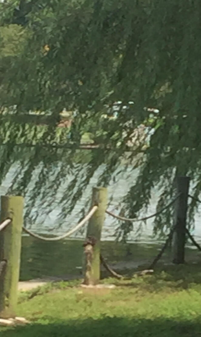 University Boardwalk