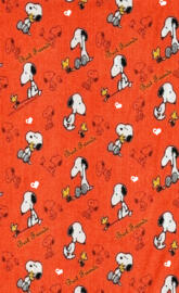 Best friends snoopy
