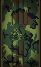 Adidas Camo