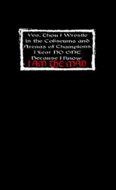 Hollywood Hogan shirt