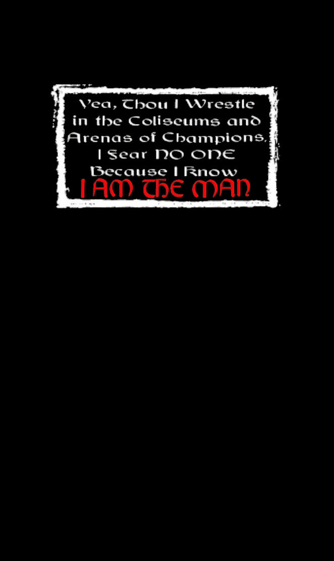 Hollywood Hogan shirt