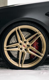 Gold vossen 