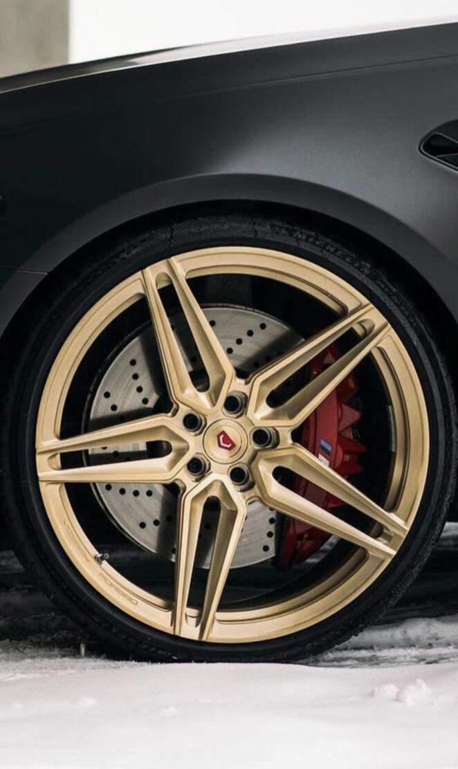 Gold vossen 