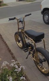 Gold Bike