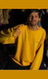 Louis Tomlinson Sun