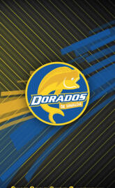 Dorados de sinaloa 2