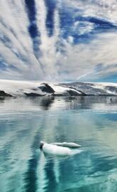 Antarctica