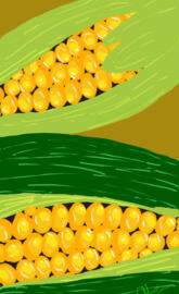Yellow corn
