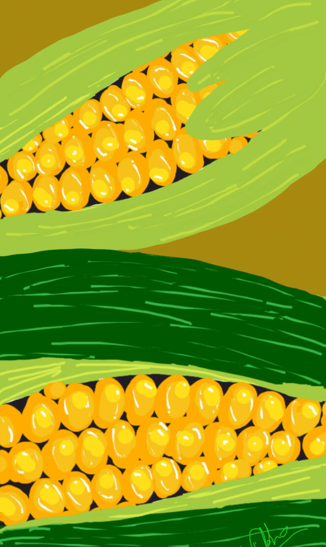 Yellow corn