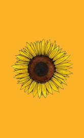 Yellow Sunflower