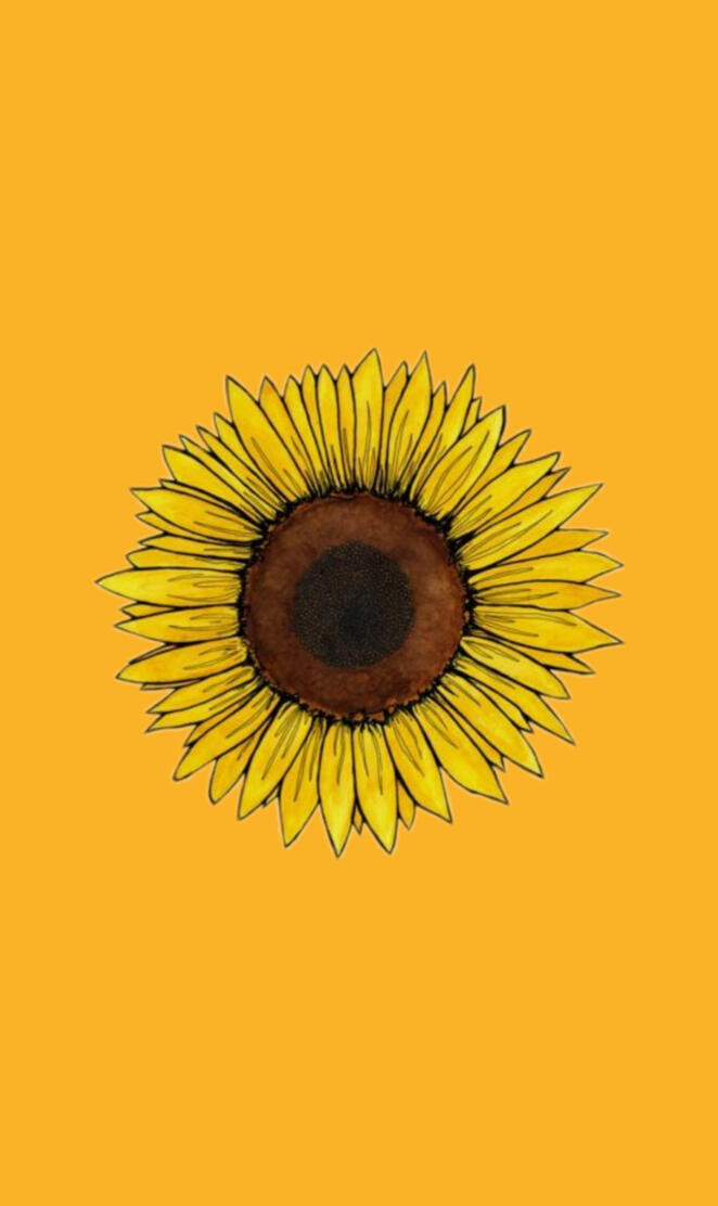 Yellow Sunflower