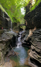 Watkins Glen