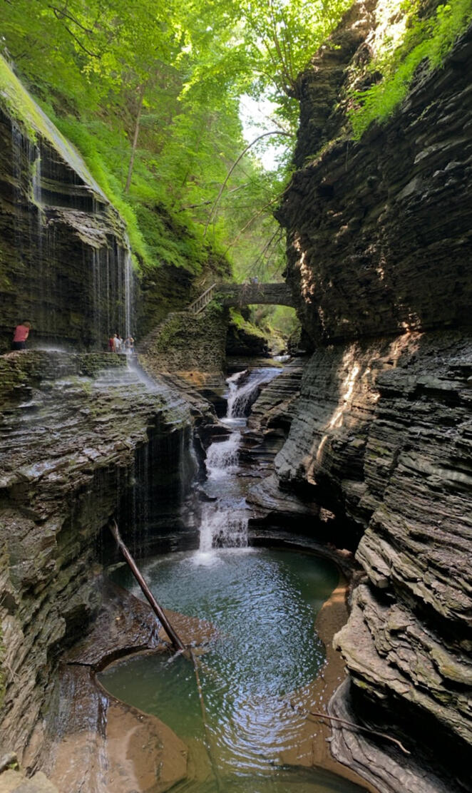 Watkins Glen