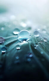 Droplets