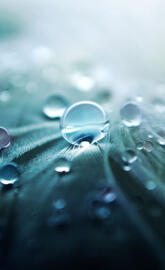Water Droplets