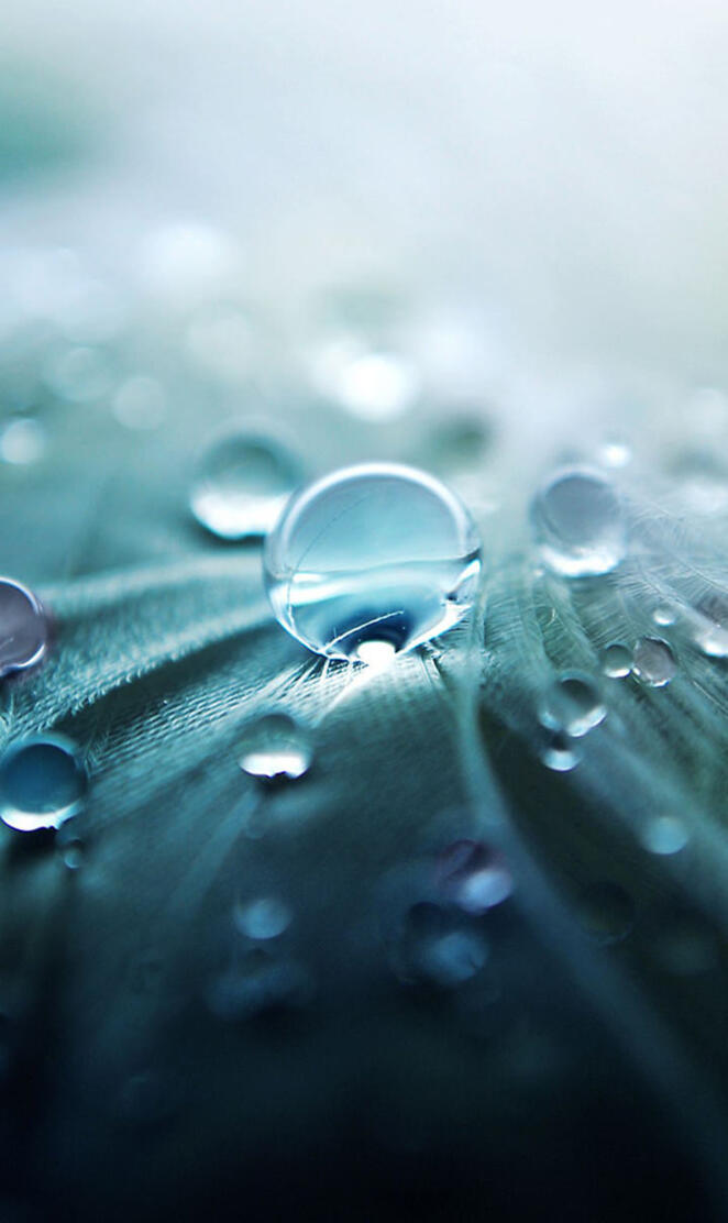 Water Droplets