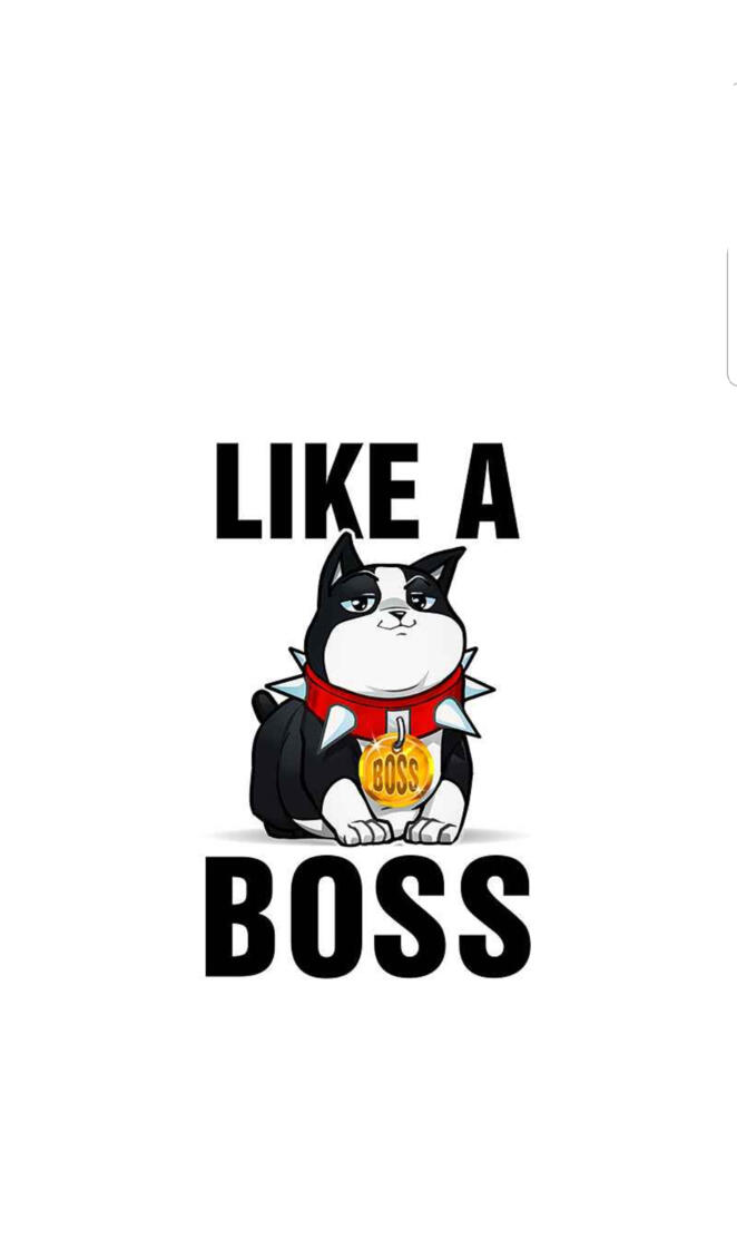 Like A Boss Dogo