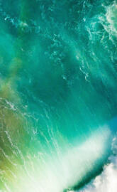 Ipone