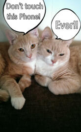 Don't Touch This Phone