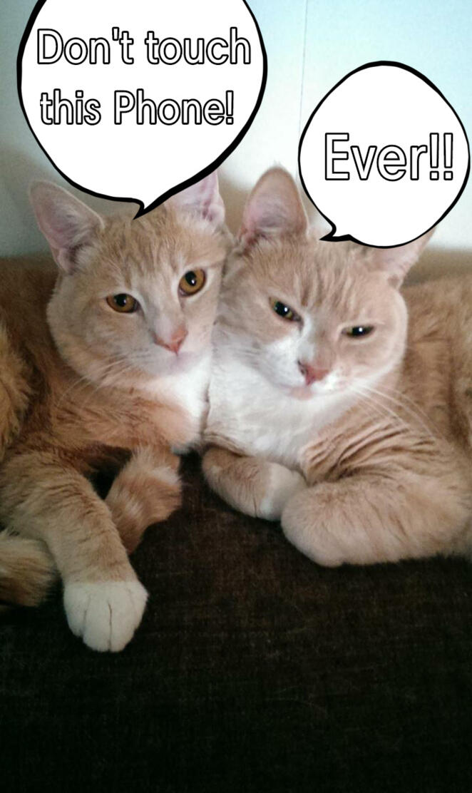 Don't Touch This Phone