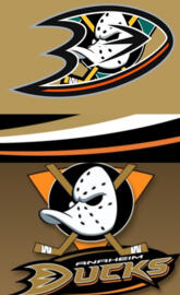 Anaheim ducks 