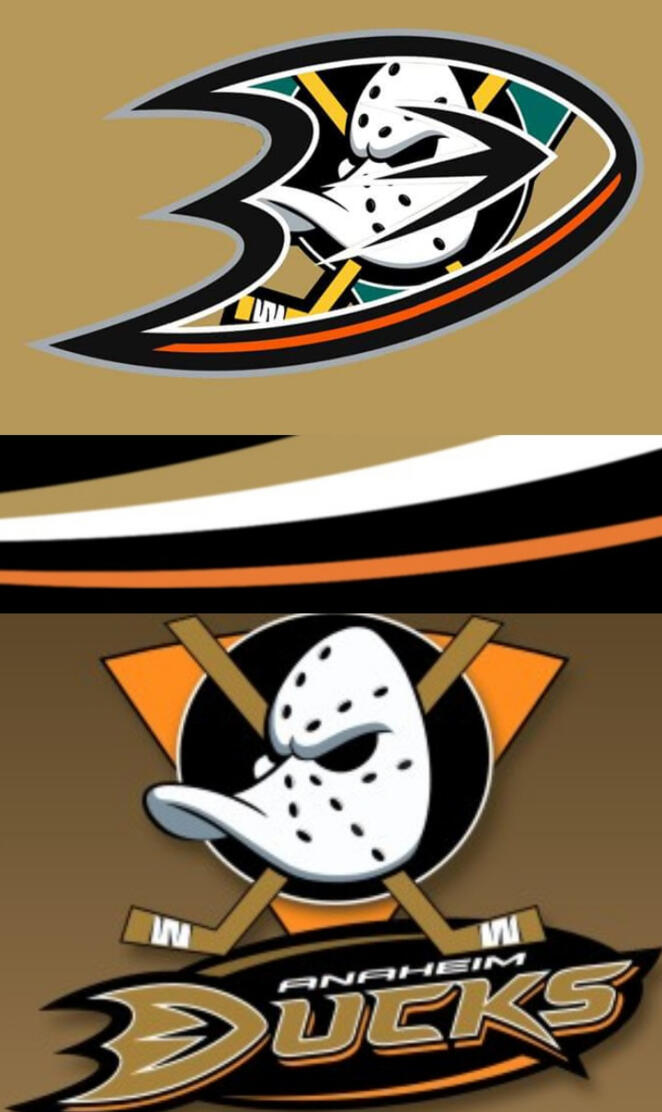 Anaheim ducks 