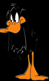 Daffy Duck