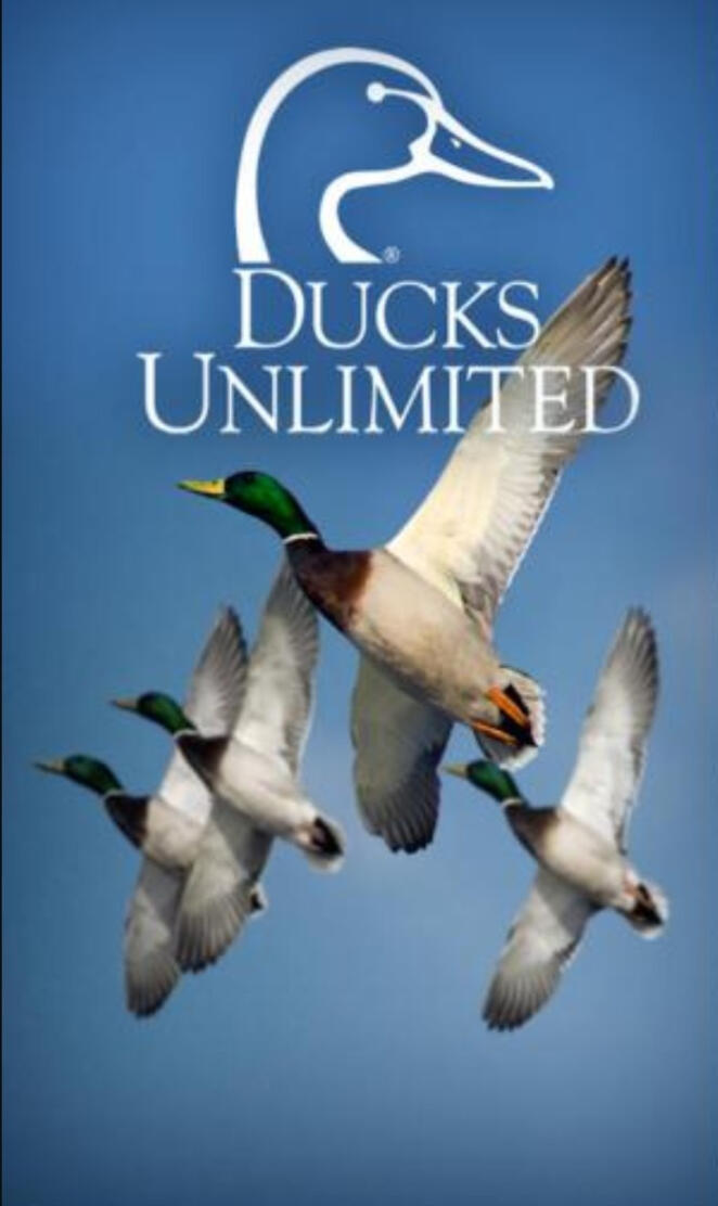 Ducks Unlimited 