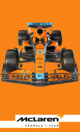 Mclaren F1 Team