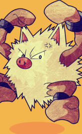 Pokemon primeape