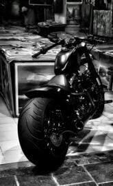 Harley-Davidson