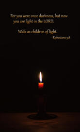 Children of Light