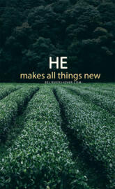 quote 12