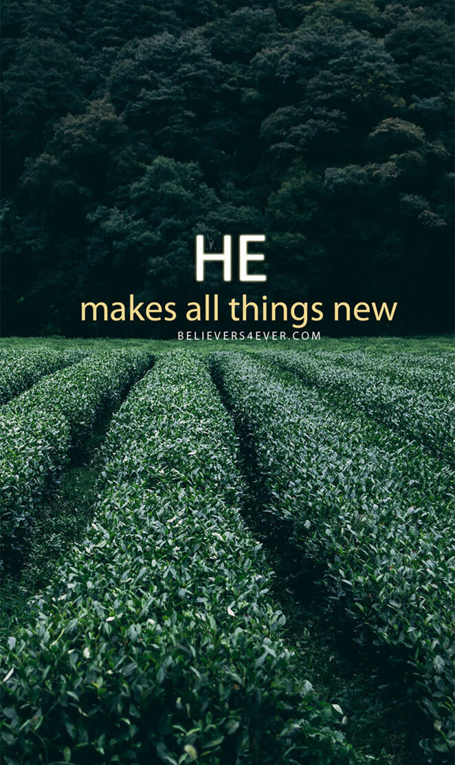 quote 12