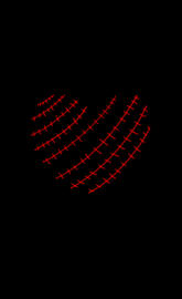 Stitched heart