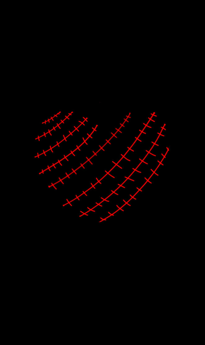 Stitched heart