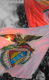 SLB flag