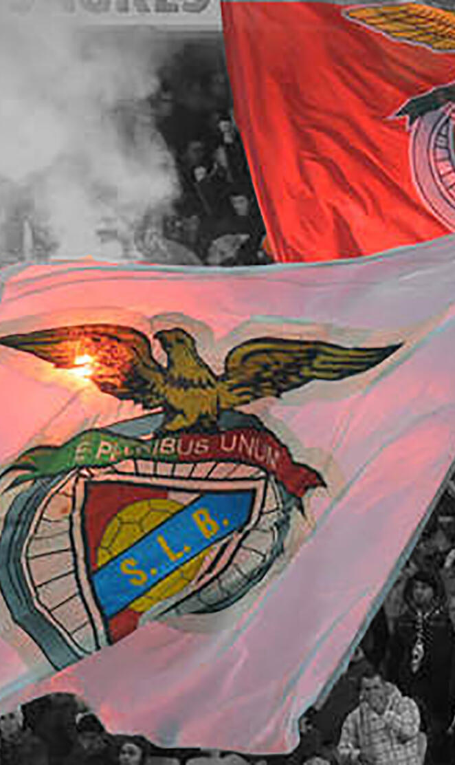 SLB flag