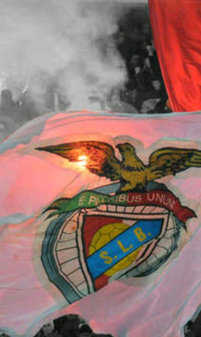 SLB flag