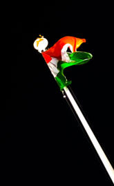 Indian flag