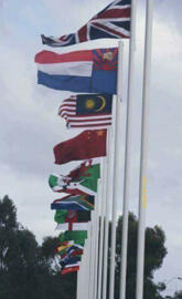 Beautiful flags