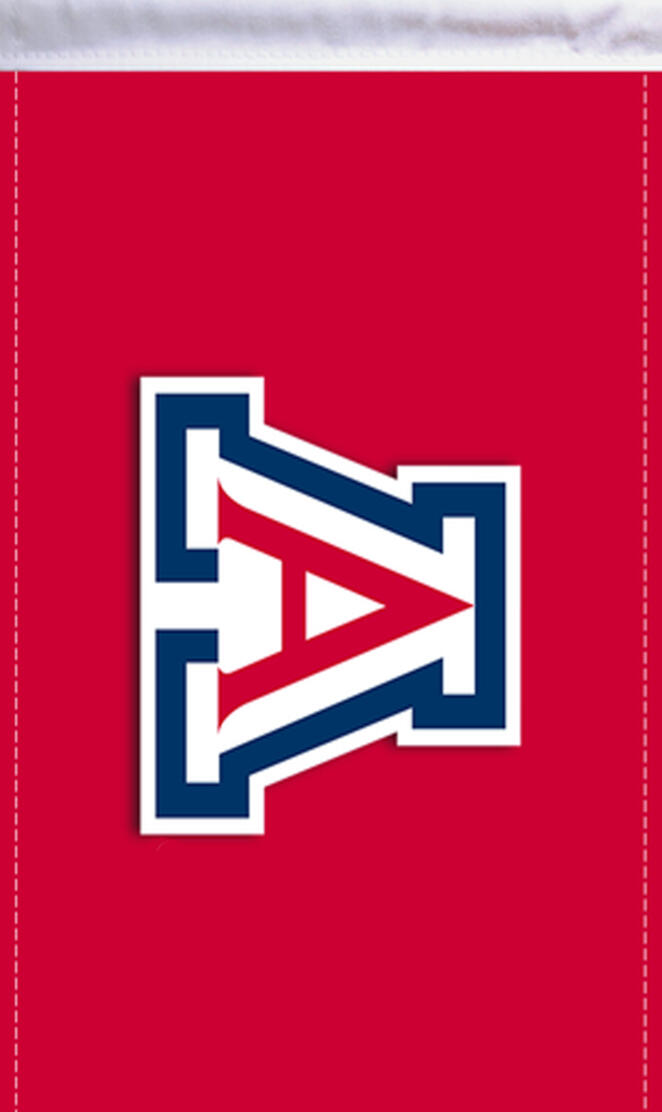 Wildcats Flag
