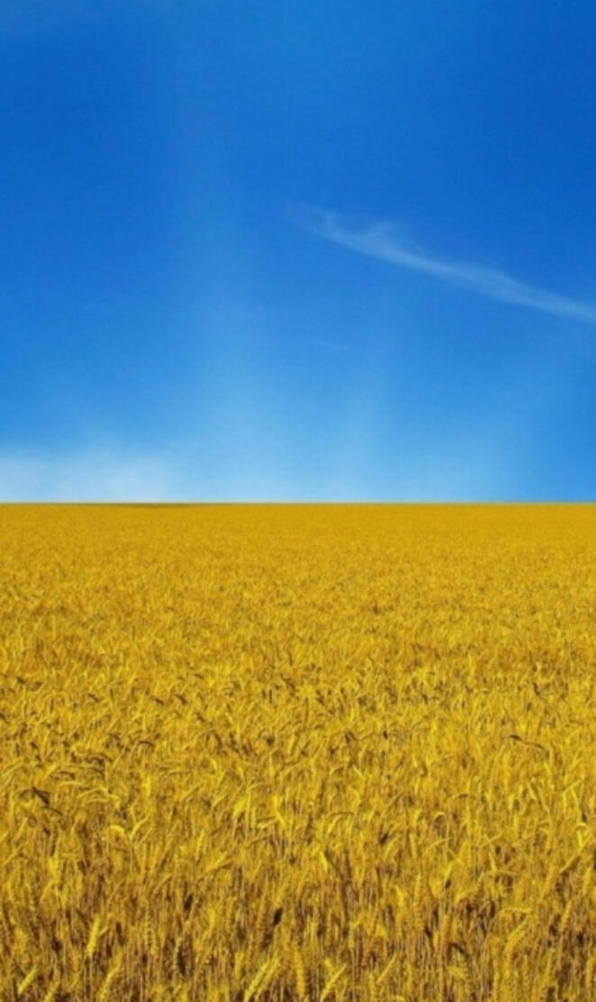 Ukraine flag 